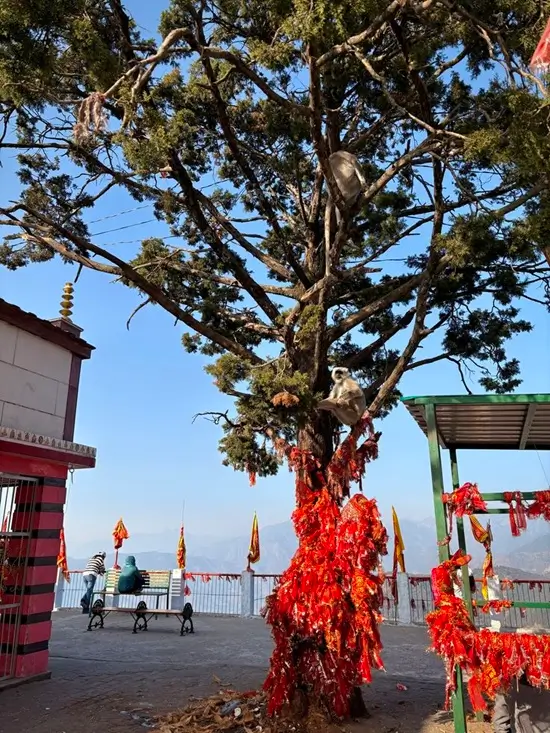 Kunjapuri Temple near Rishikesh